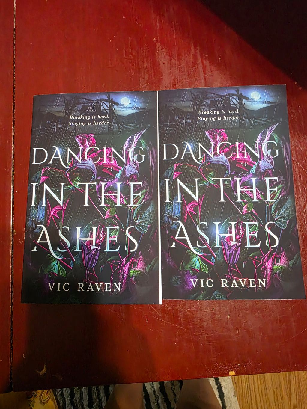 Dancing In The Ashes- Oopsie Poopsie Edition