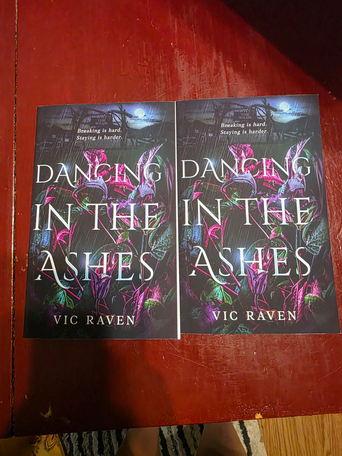 Dancing In The Ashes- Oopsie Poopsie Edition