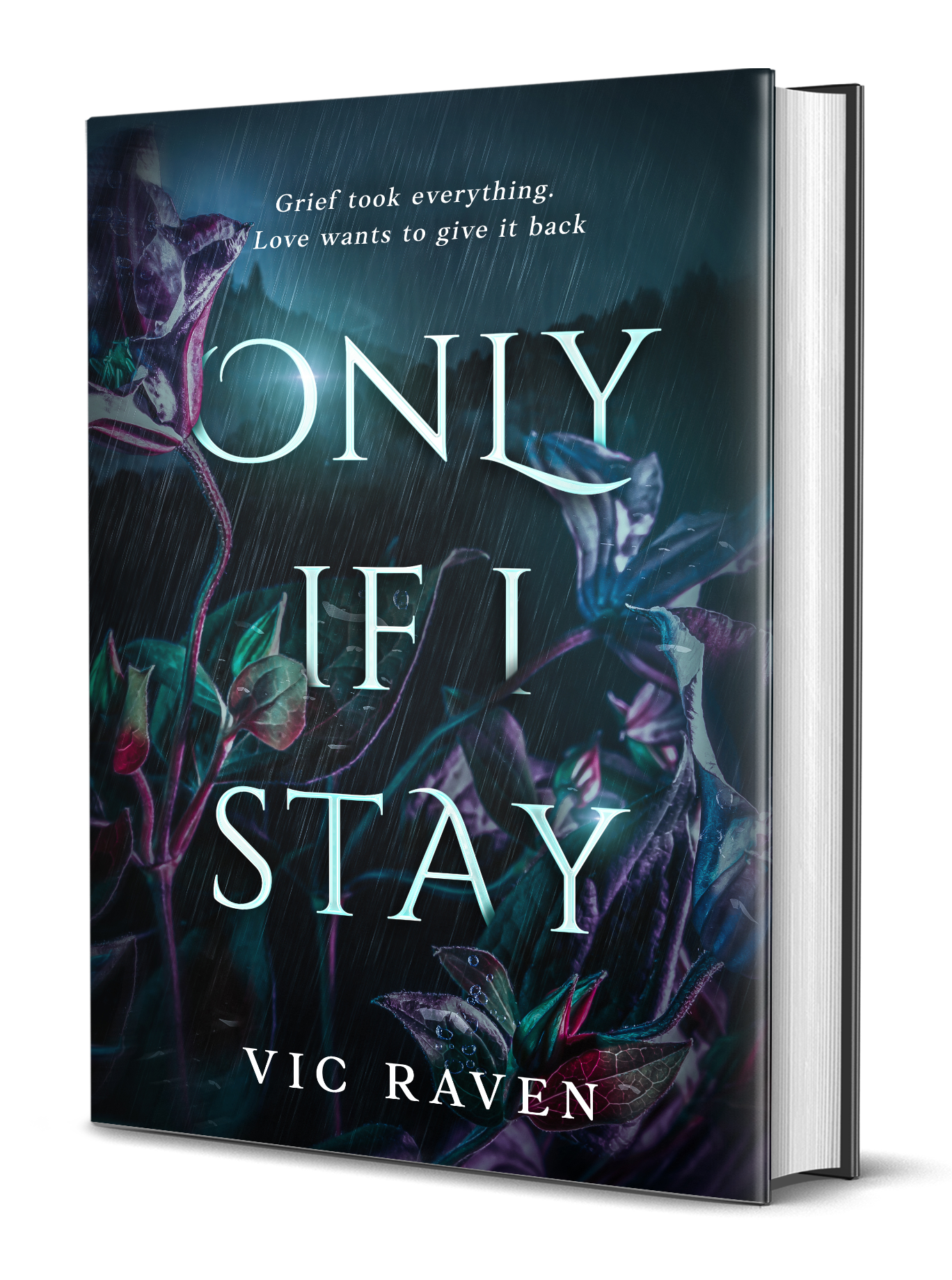 Only If I Stay- Signed Paperback Copy