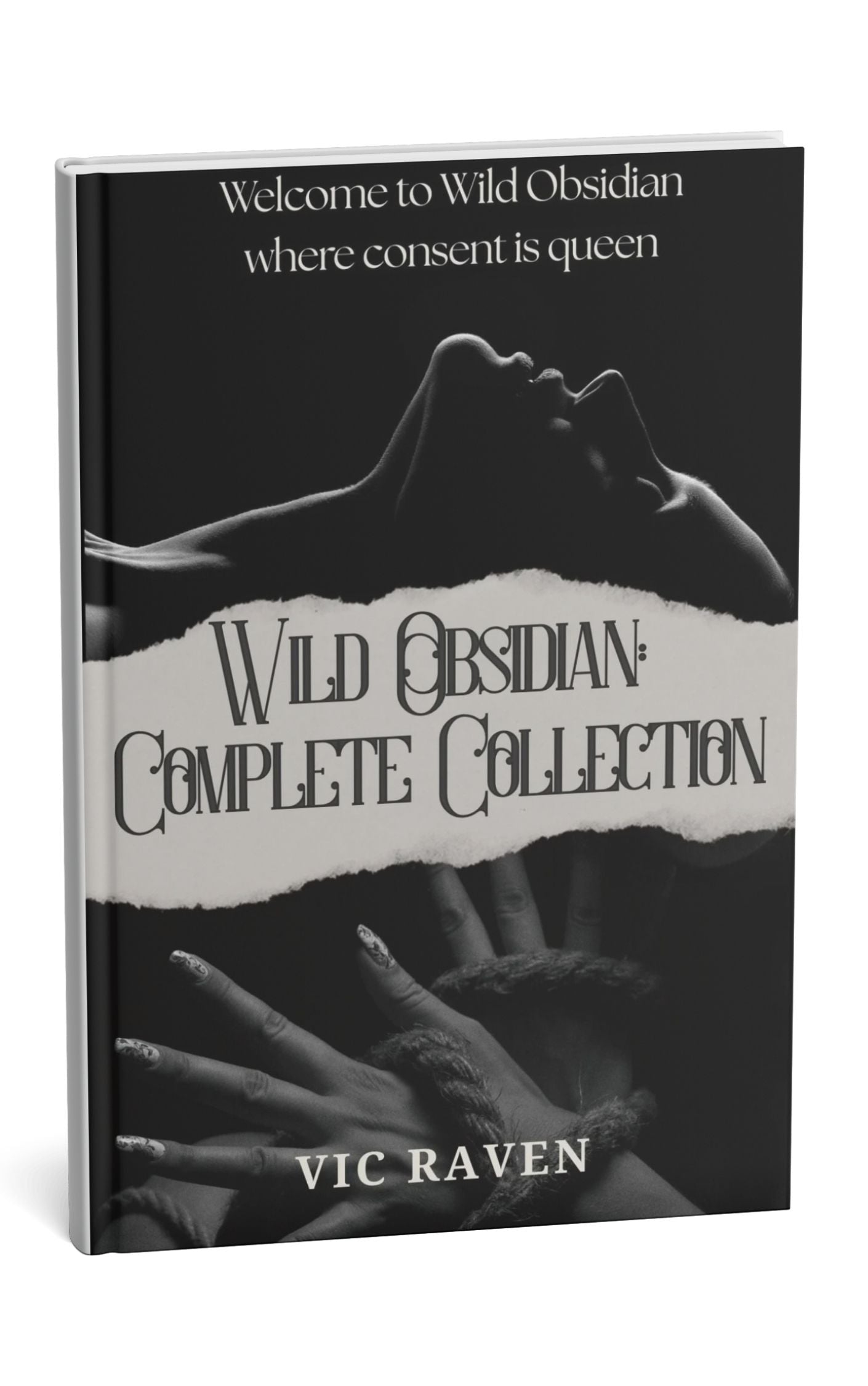 Wild Obsidian: Complete Collection Paperback (Pre-order)
