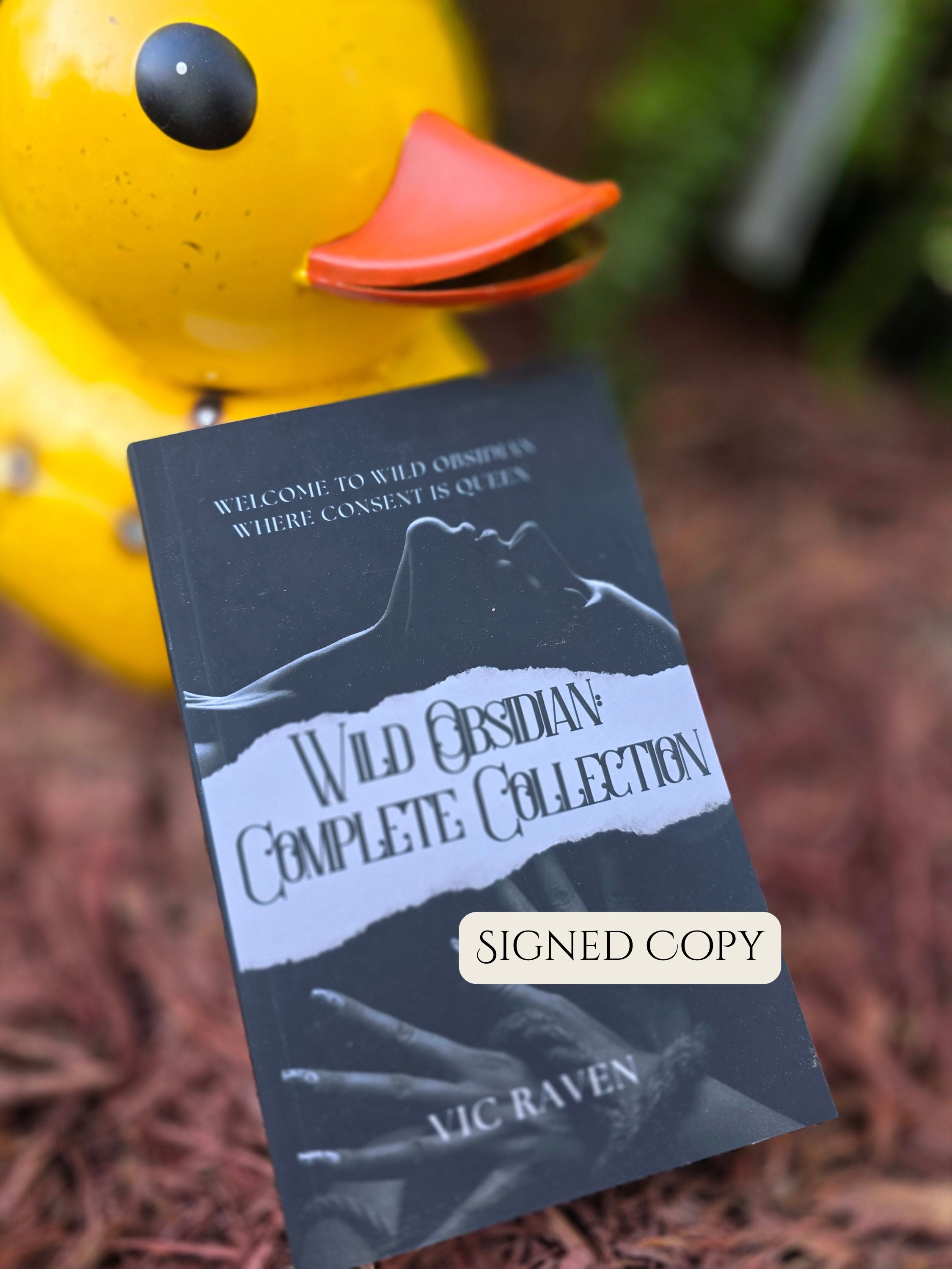 Wild Obsidian: Complete Collection