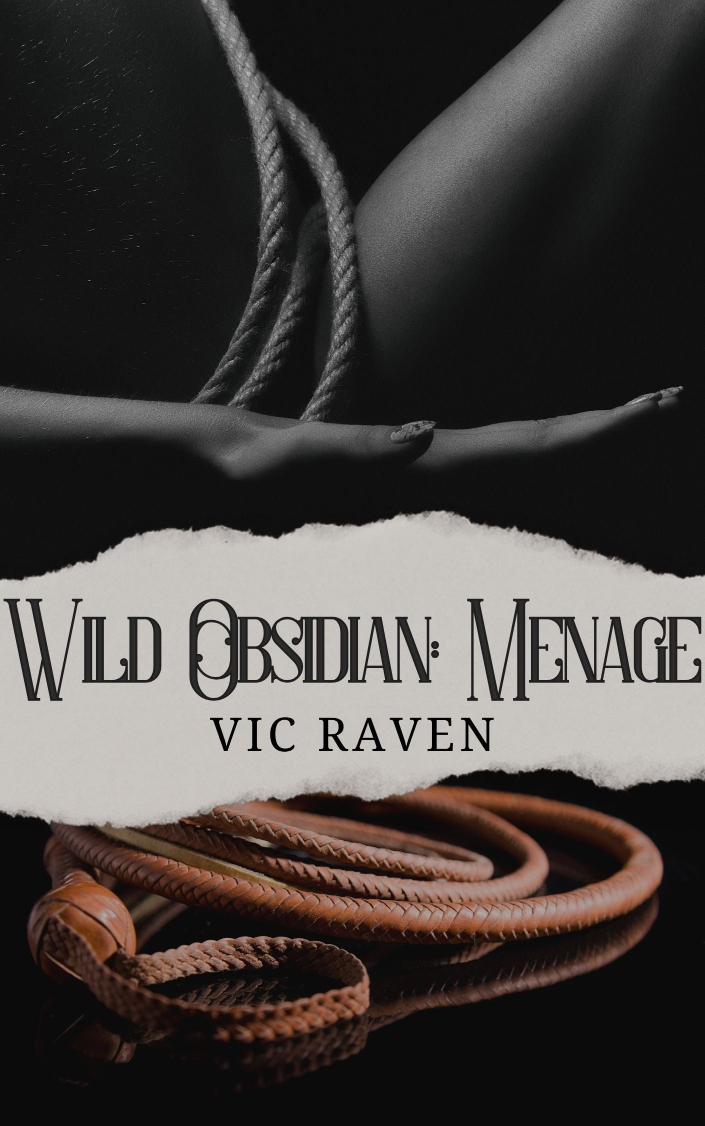Wild Obsidian: Menage- eBook