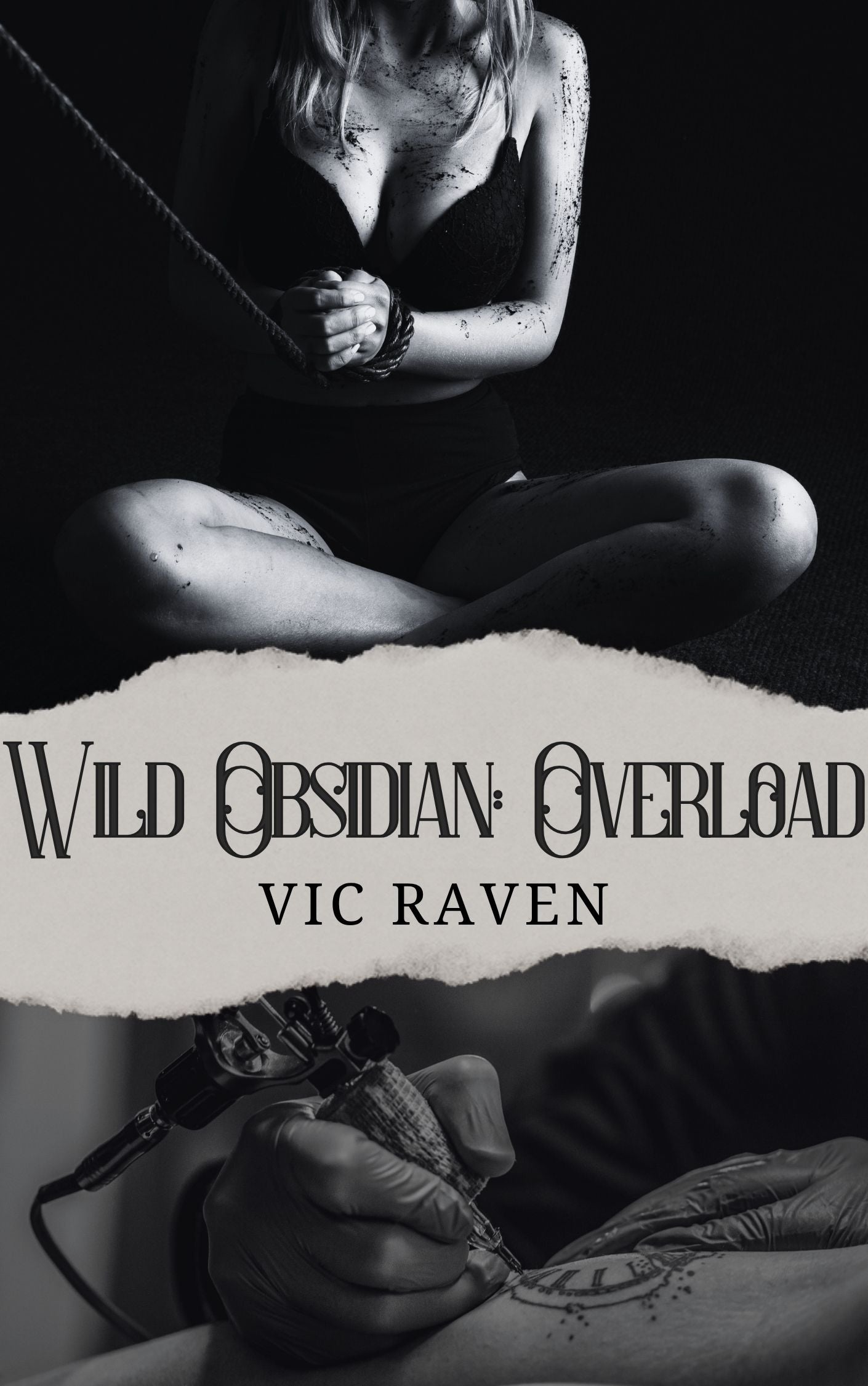 Wild Obsidian: Overload- eBook