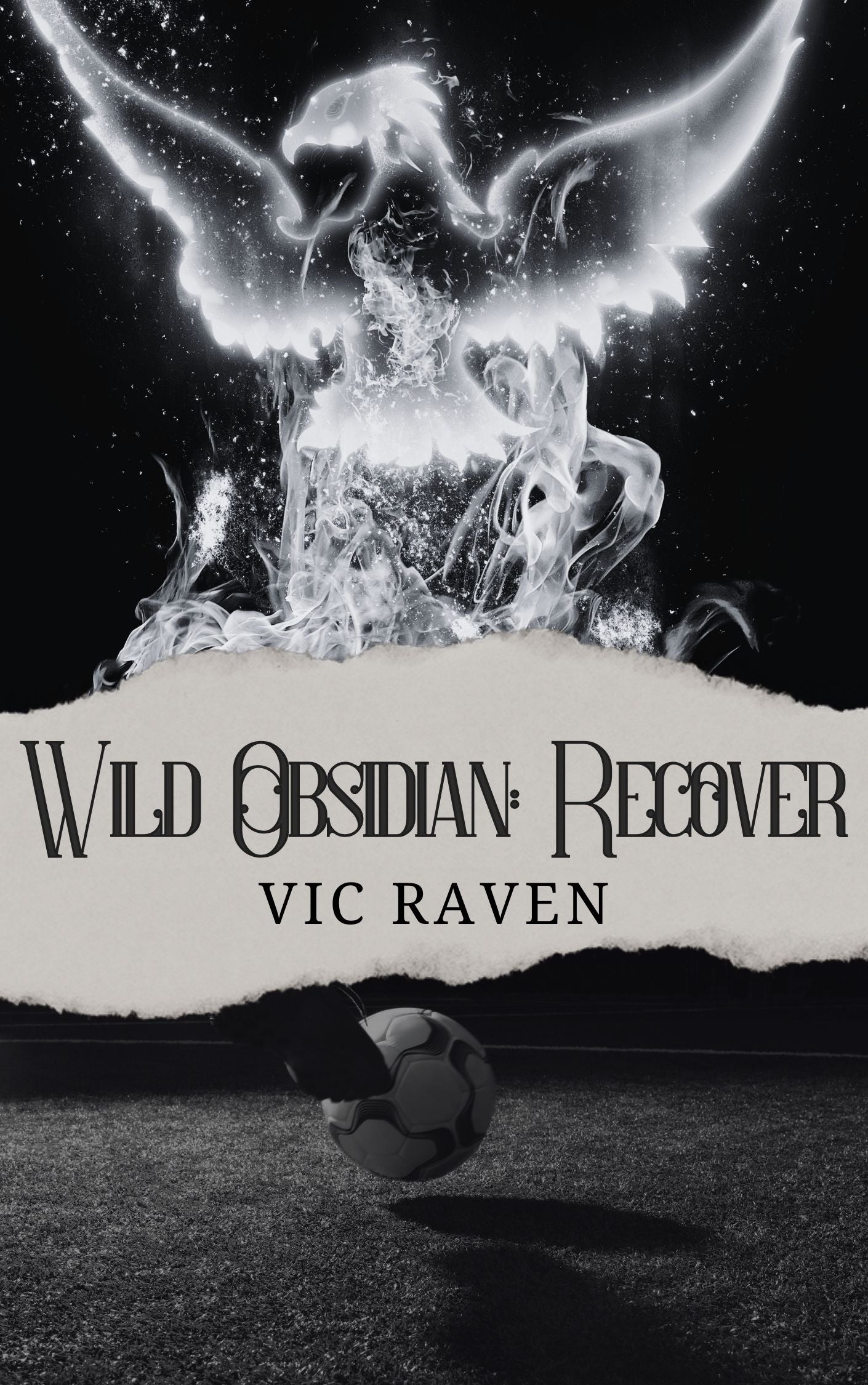 Wild Obsidian: Recover- eBook