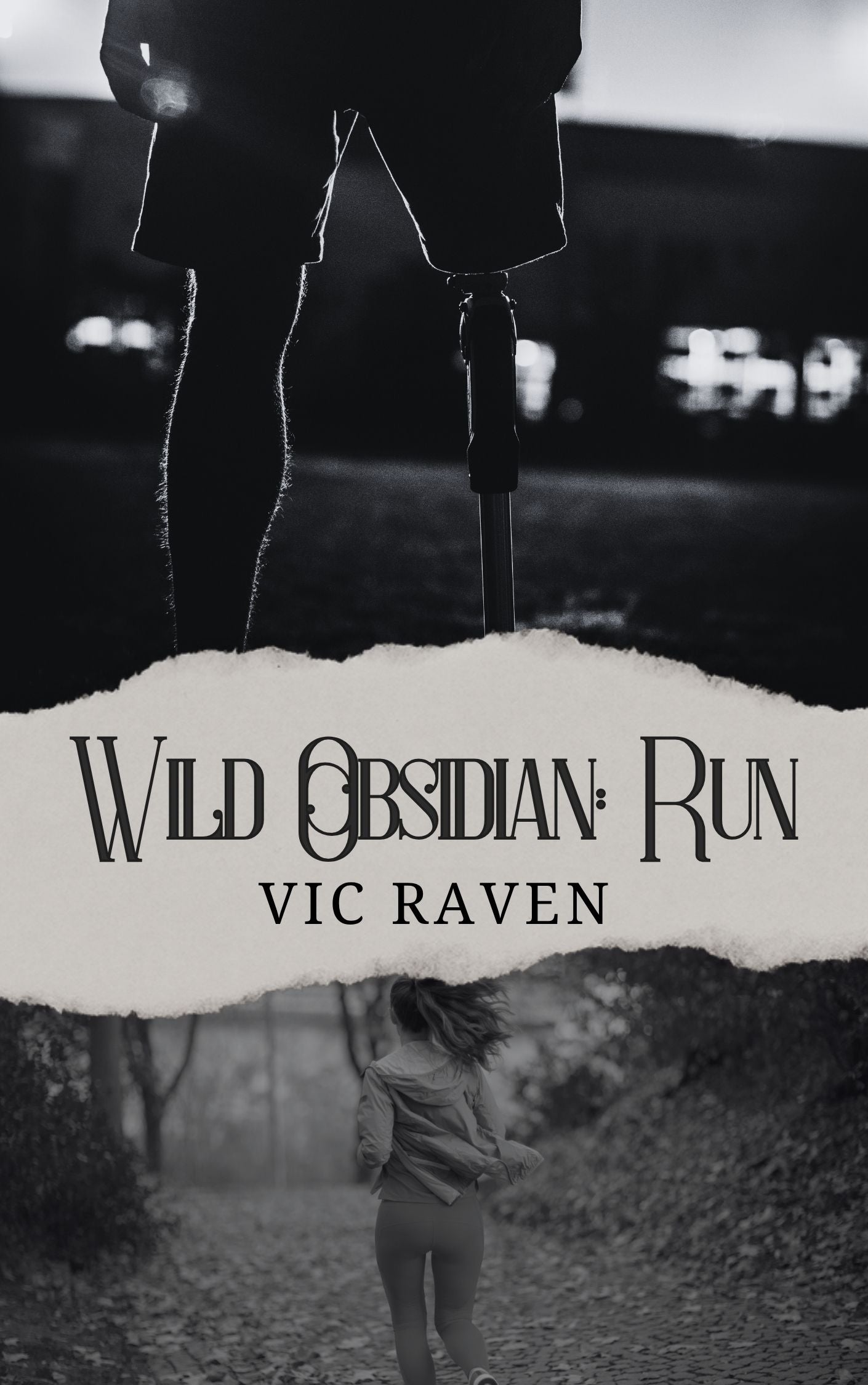 Wild Obsidian: Run- eBook