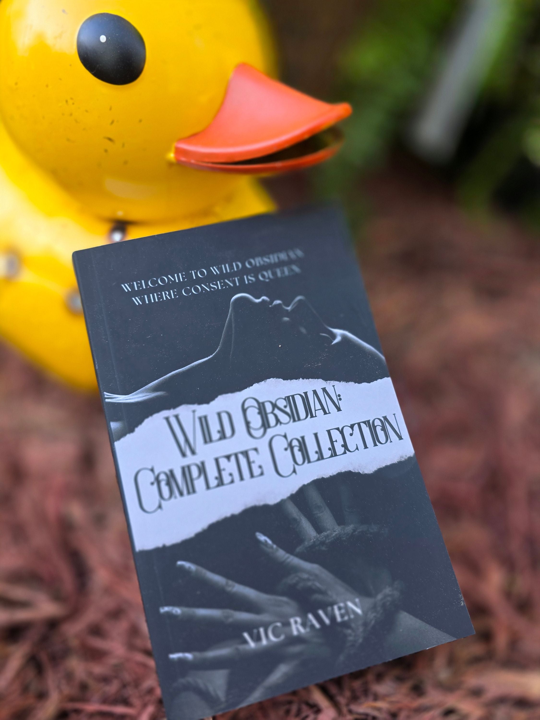 Wild Obsidian: Complete Collection