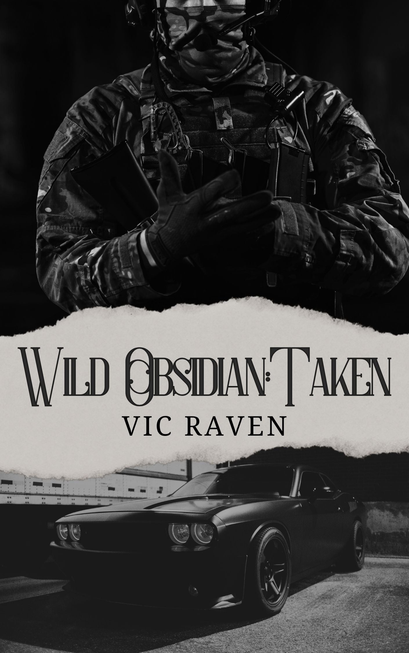 Wild Obsidian: Taken- eBook